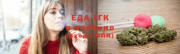 индика Вязники